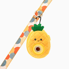 Toy - Pooch Pouch | Pineapple Bag Holder