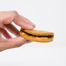 Mini Tacos