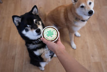 St. Patrick's Day Mini Cake - Pre-Order