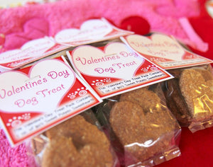 Valentine’s Day Dog Treat Mini Bag